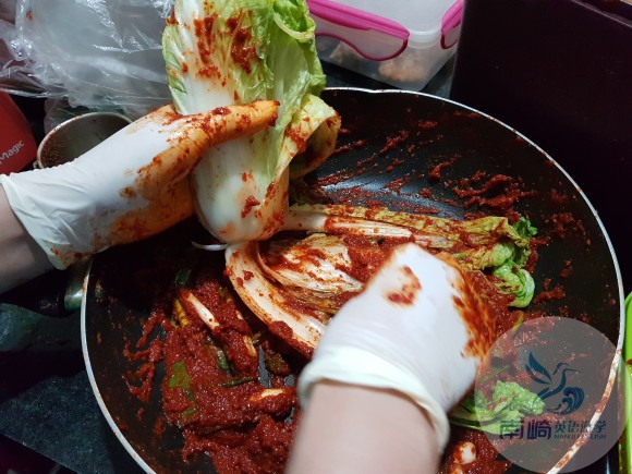 韩国校长为大家介绍美味泡菜的制作方法！