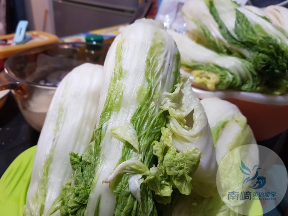 韩国校长为大家介绍美味泡菜的制作方法！