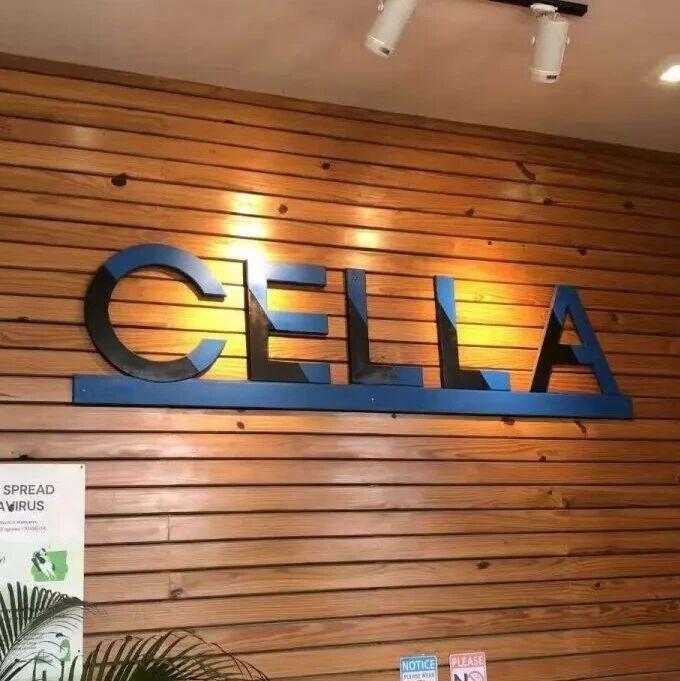 想飞就飞 | 宿务CELLA空乘英语介绍